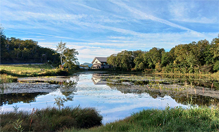 夏の山ノ内 大勝軒