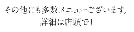 その他にも多数メニューございます。詳細は店頭で!